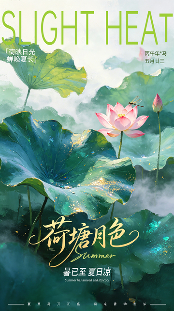 荷花荷叶立夏节气海报