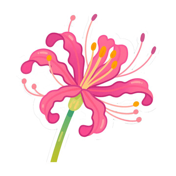 手绘卡通彼岸花免抠元素