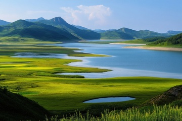 湿地湖泊绿草美景