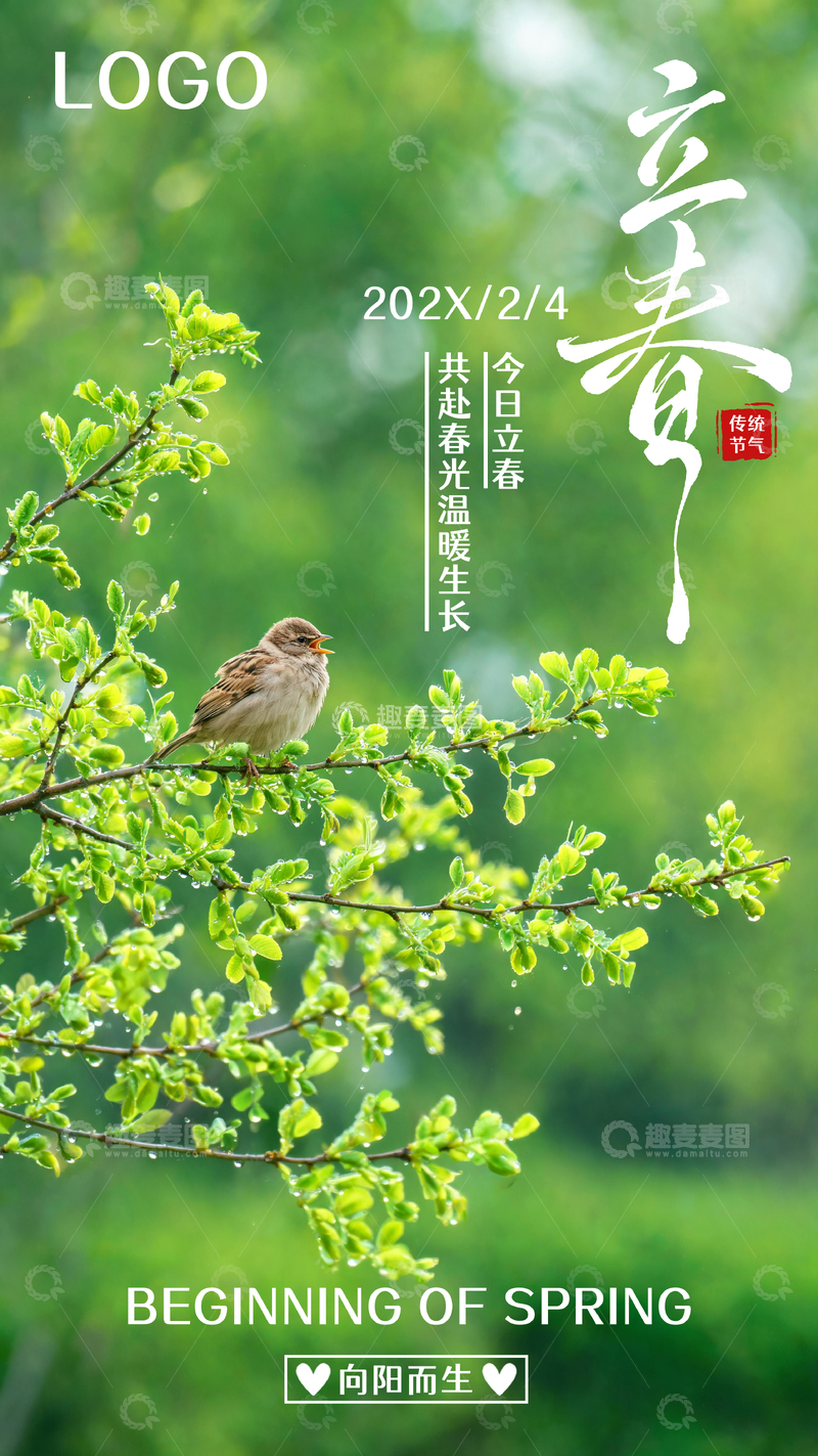 源文件下载【趣麦麦图】绿野鸟雀枝叶立春节气海报