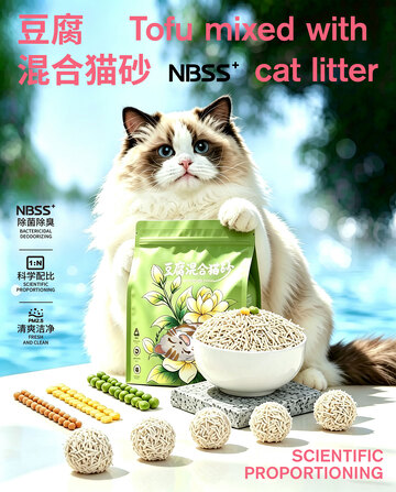 猫砂海报设计
