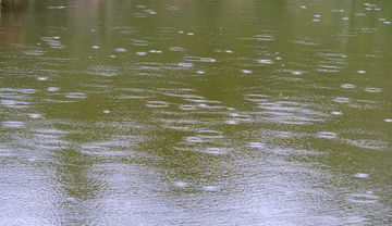 写实风小雨滴水面涟漪自然摄影素材