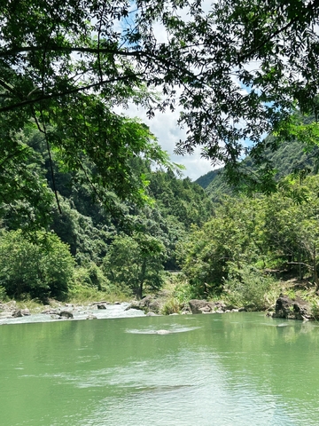 千岛湖写实风山间溪流自然风光摄影素材