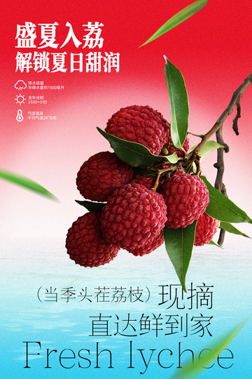盛夏荔枝新鲜荔枝水果海报