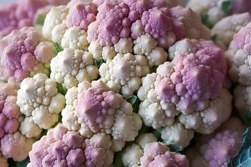 摄影风紫白花椰菜静物素材205