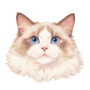 手绘风猫咪头像插画设计素材
