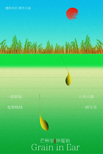芒种节气简约绿色海报