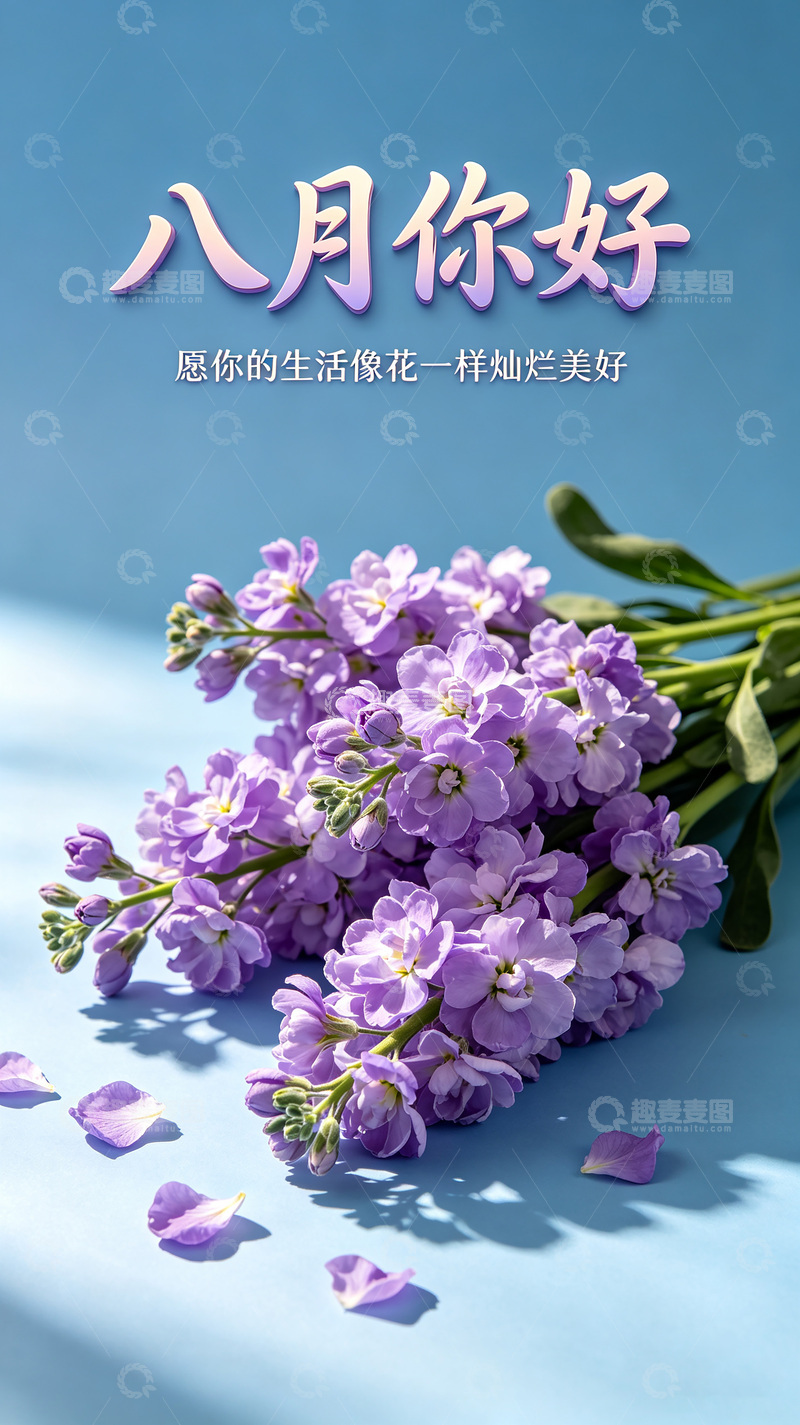 高清大图下载【趣麦麦图】八月你好紫色花卉