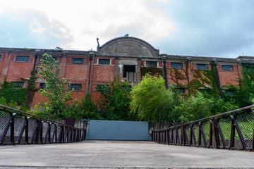 写实风废弃建筑绿植覆盖设计素材