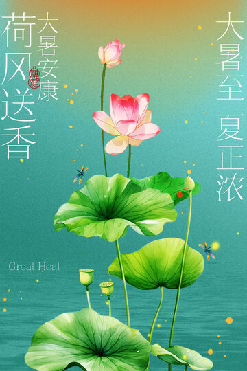 大暑节气荷花荷叶简约海报