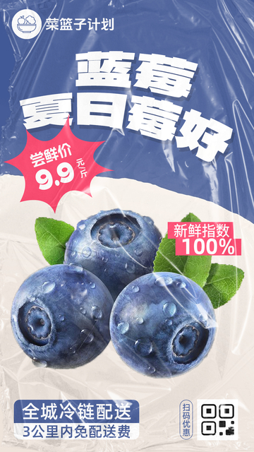 生鲜蓝莓优惠海报