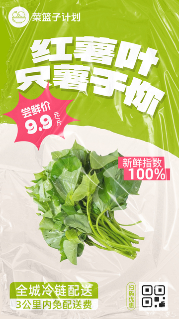 生鲜红薯叶优惠海报