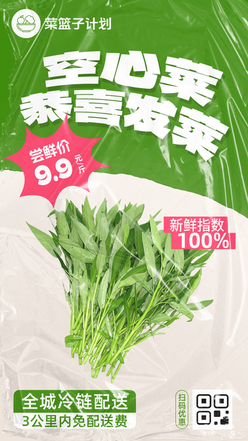生鲜空心菜优惠海报
