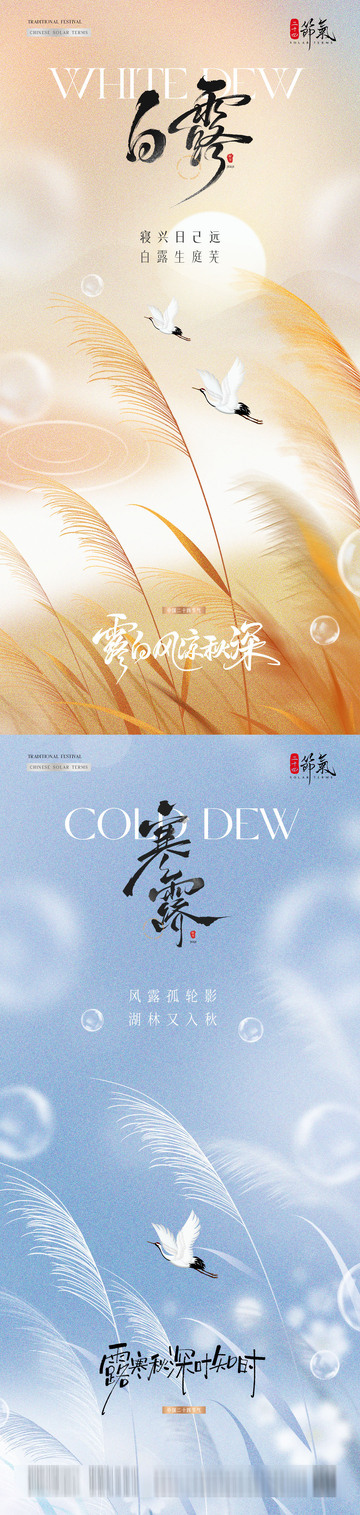 地产白露寒露芦苇风景海报1