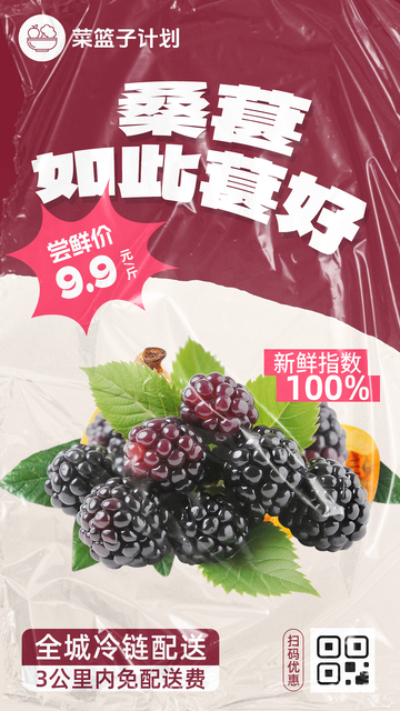 生鲜桑葚优惠海报