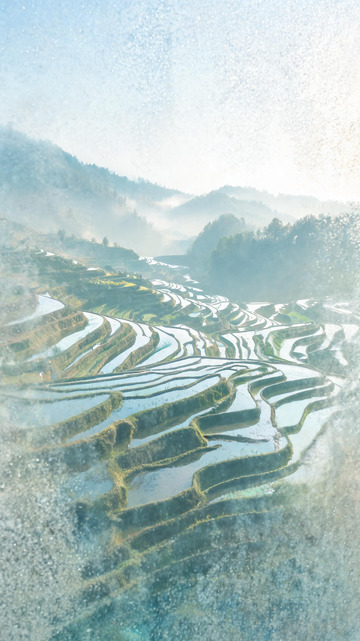 水墨风梯田晨雾自然风光设计素材