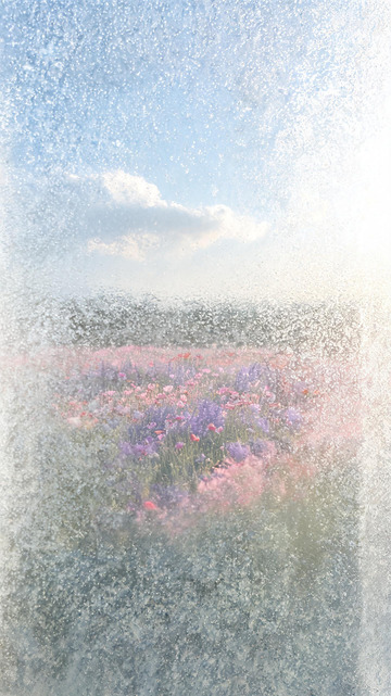 朦胧风花海风景插画设计素材