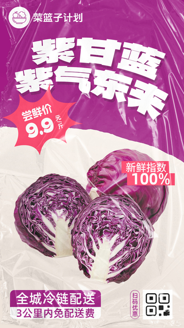 生鲜紫甘蓝优惠海报