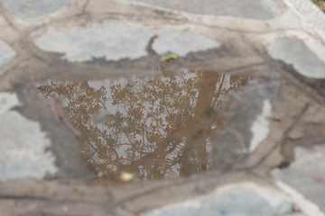 水中倒影横版图2
