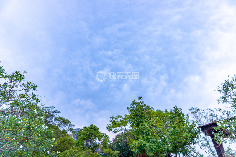 高清大图下载【趣麦麦图】-清新风蓝天绿树自然风景摄影素材