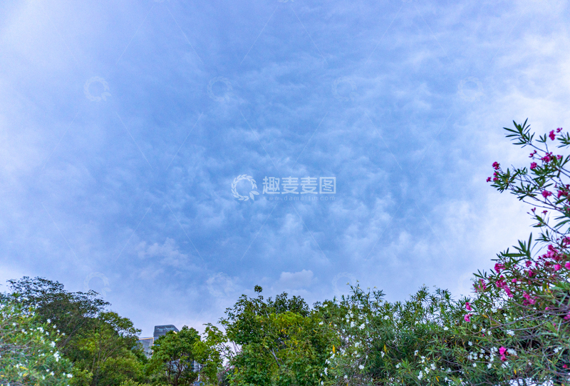 高清大图下载【趣麦麦图】清新风蓝天绿树花卉自然摄影素材
