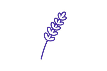 线条风薰衣草植物手绘设计素材