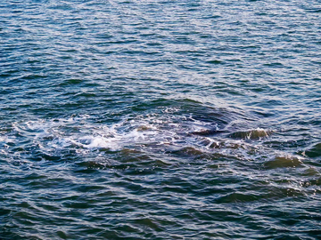 写实风海洋波浪自然摄影素材