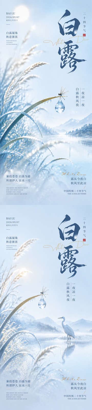白露节气海报4