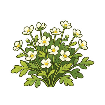卡通风格白色小花植物插画设计素材