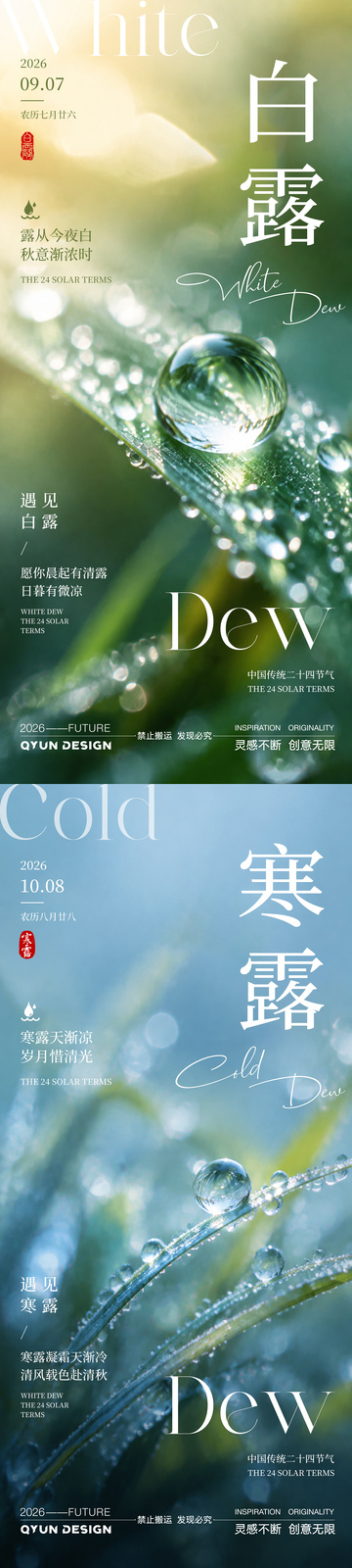 白露寒露节气海报