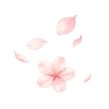 手绘风樱花花瓣飘落设计素材