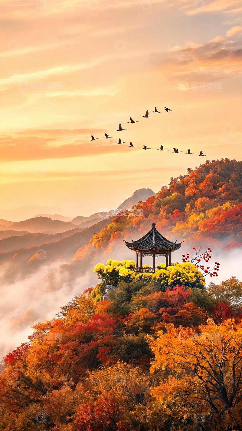 高清大图下载【趣麦麦图】重阳节节日背景01