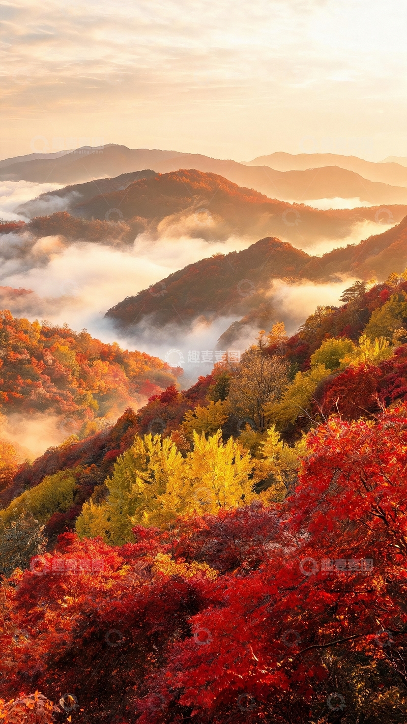 高清大图下载【趣麦麦图】重阳节节日背景04