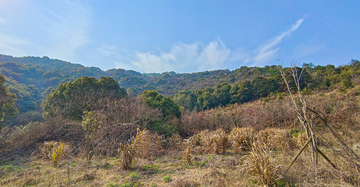 南北湖自然风光秋日山野摄影素材