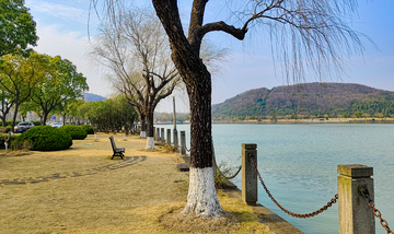 写实风嘉兴南北湖湖畔春日风景摄影素材
