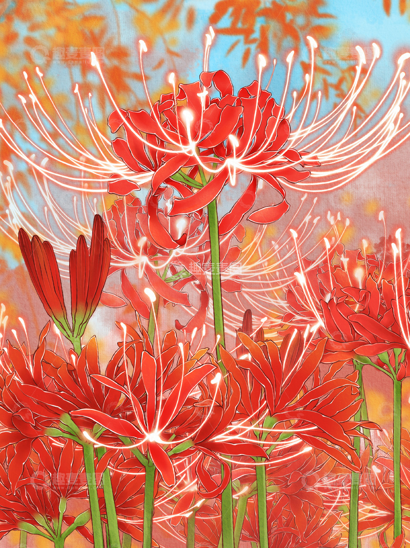 源文件下载【趣麦麦图】插画风彼岸花梦幻花卉设计素材