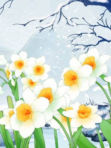 插画风冬日水仙花植物设计素材