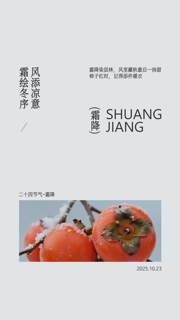 简约风霜降节气柿子摄影设计素材