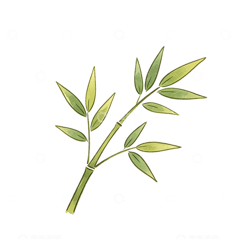 高清大图下载【趣麦麦图】手绘风竹枝绿叶植物插画素材