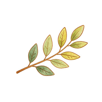 手绘风植物枝叶插画设计素材