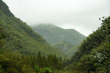 写实风云雾缭绕绿色山林自然风景摄影素材