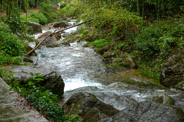 写实风山涧溪流岩石绿植自然风景素材