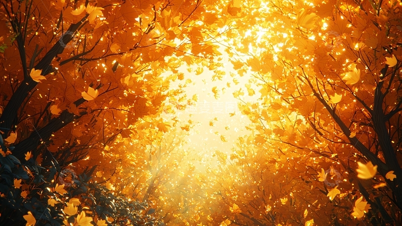 高清大图下载【趣麦麦图】秋日金黄树木