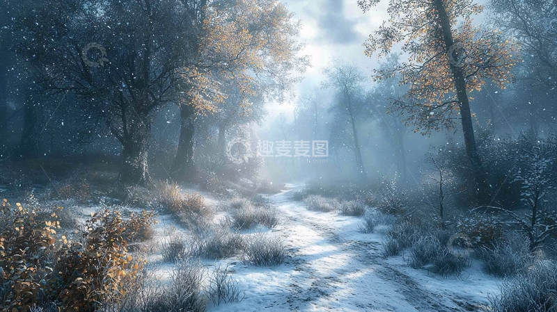 高清大图下载【趣麦麦图】冰雪覆盖的冬季森林小路