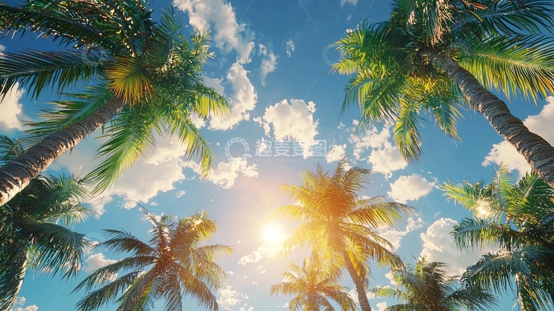 高清大图下载【趣麦麦图】仰视椰树的蓝天白云