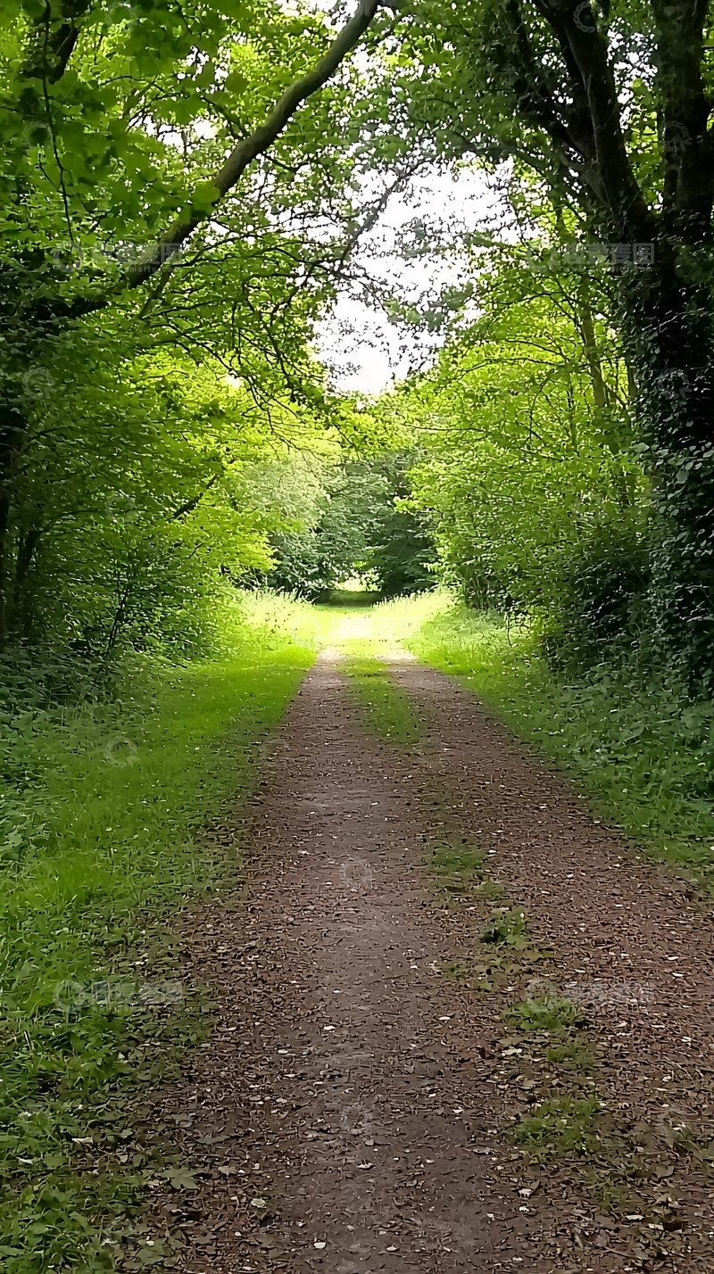 高清大图下载【趣麦麦图】绿树成荫的小路