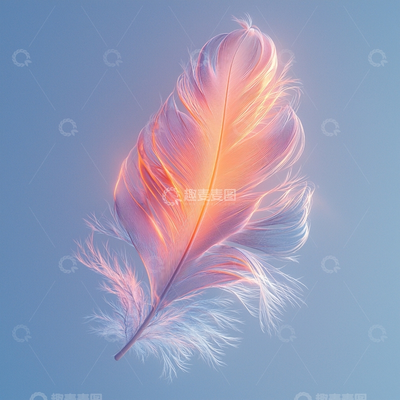 高清大图下载【趣麦麦图】发光羽毛特写