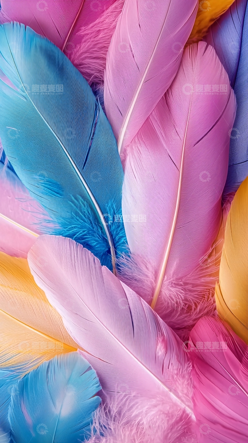 高清大图下载【趣麦麦图】彩色羽毛