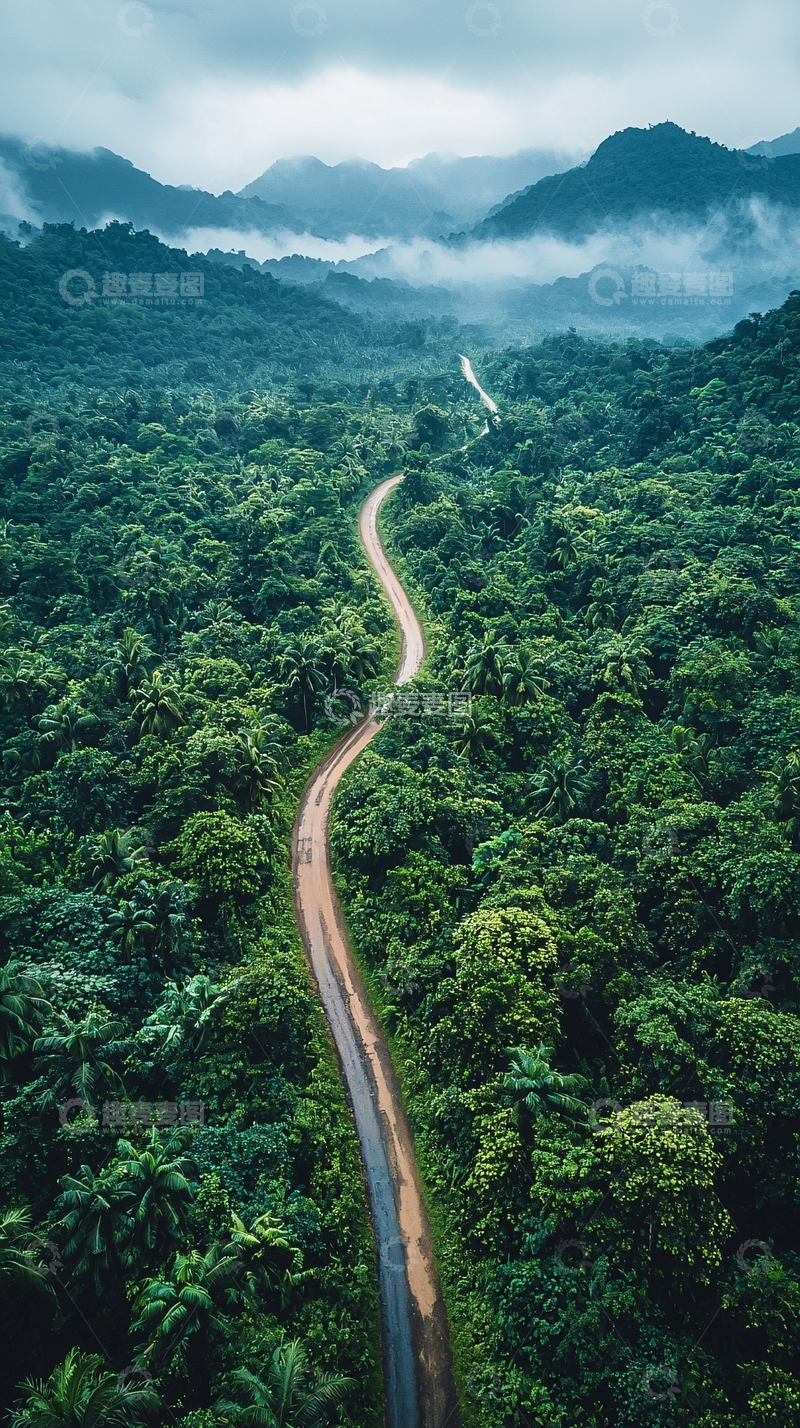 高清大图下载【趣麦麦图】山路蜿蜒穿过葱郁雨林