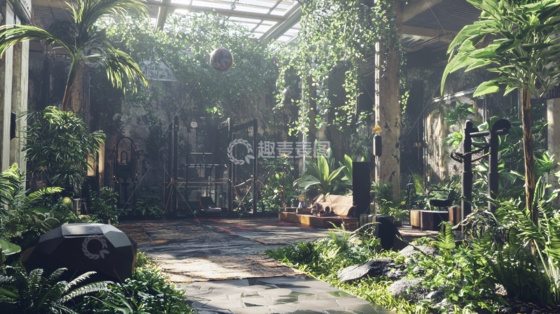 高清大图下载【趣麦麦图】废弃花园阳光洒进